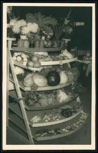 5x Foto AK - Ernte Danktag 1952 - in Fritzlar Schwalm-Eder - Gemüseausstellung