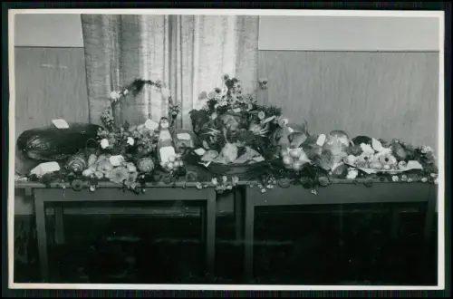 5x Foto AK - Ernte Danktag 1952 - in Fritzlar Schwalm-Eder - Gemüseausstellung