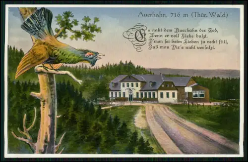 AK - Auerhahn auf Ast - vor Gasthaus im Thüringer Wald - mit humorvollem Reim