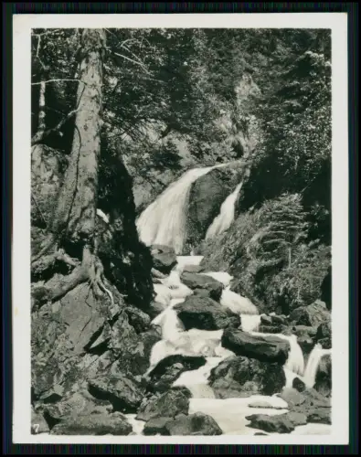 12x Foto 4x AK - Schwarzwald Aftersteg, Titisee, Todtnau-Wasserfall St. Blasien