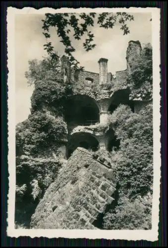 19x Foto - Heidelberg Baden-Württemberg - am Neckar Odenwald - diverse Ansichten