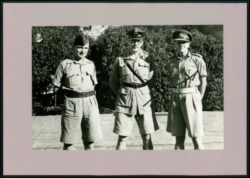 Foto - Offiziere der US-Armee - 2. WK in Tropenuniform - Drei Soldaten posieren