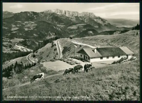 Foto AK - Oberahornkaser 1600 m mit Roßfeldstraße u. Untersberg Berghütte Alpen