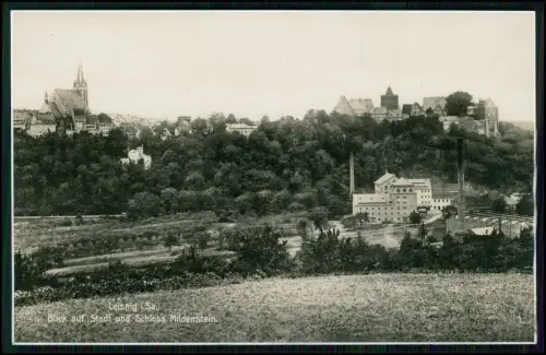 5x AK - Leisnig an der Freiberger Mulde - Mittelsachsen diverse Ansichten 1930er