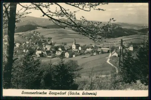 Foto AK - Saupsdorf Sebnitz - Sächsische Schweiz - Blick auf das Dorf mit Kirche