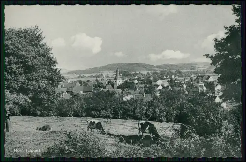 4x alte AK - Horn-Bad Meinberg - bei Detmold Lippe - in NRW - diverse Ansichten