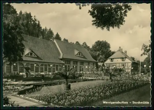 7x Echt Foto AK - Wernigerode am Harz - in Sachsen-Anhalt - diverse Ansichten