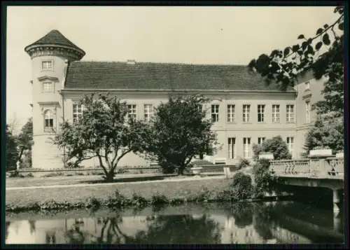 3x Echt Foto AK - Schloß Rheinsberg Sanatorium Helmut Lehmann Ostprignitz-Ruppin