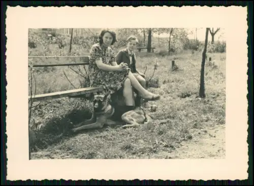 12x Foto 11x8cm- Koblenz Asterstein - Plateau Pfaffendorfer Höhe nahe Rhein 1944