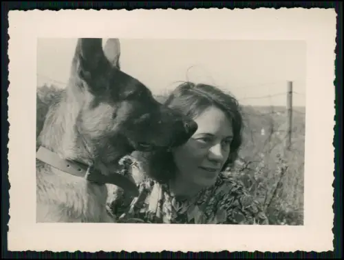 12x Foto 11x8cm- Koblenz Asterstein - Plateau Pfaffendorfer Höhe nahe Rhein 1944
