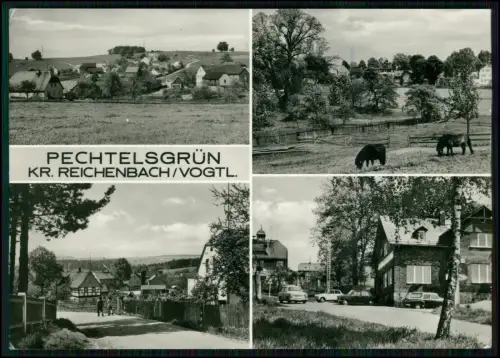 AK Pechtelsgrün Kr. Reichenbach Vogtland - Mehrbildkarte DDR Dorfansichten Autos