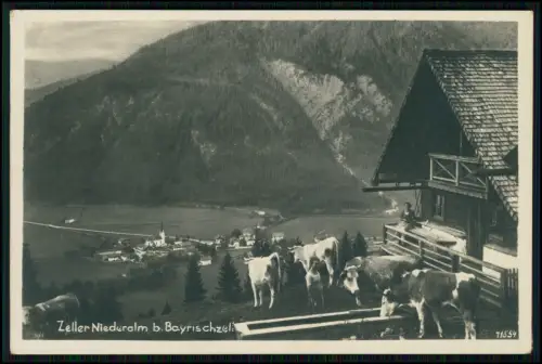 Foto AK - Zeller Niederalm bei Bayrischzell mit Blick ins Tal und auf Dorf 1931
