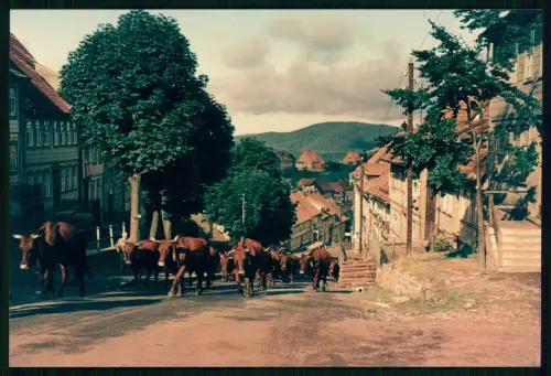 11x Echt Farbfoto AK Postkarte 15x10cm - Sankt Andreasberg Braunlage im Oberharz