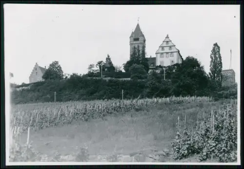 Foto 18x13cm - Schlosses Stocksberg - bei Brackenheim Weinberge Hang - um 1940