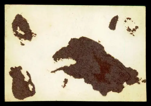 Foto - SS Rakaia um 1920 - New Zealand Shipping Co Dampfschiff Frachter Brodmead