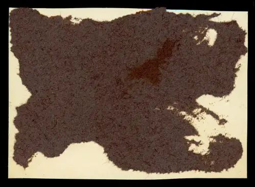 4x Foto AK  Paul Wiehr 1868 † 1942 Korvettenkapitän Timmendorfer Strand Niendorf