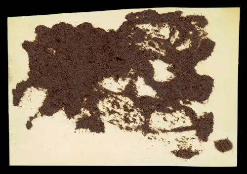 4x Foto AK  Paul Wiehr 1868 † 1942 Korvettenkapitän Timmendorfer Strand Niendorf