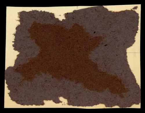 10x Foto - Paul Wiehr 1868 † 1942 Korvettenkapitän Timmendorfer Strand Niendorf