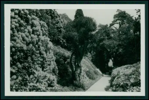 12x Foto im Bildmäppchen - Villa Carlotta Tremezzo am Comer See Lombardei