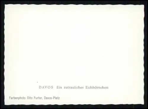 10x Foto im Bildmäppchen - Graubünden St. Moritz Davos Schweiz schönste Ansicht