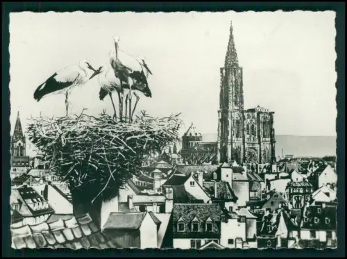 10x Foto im Bildmäppchen- Straßburg Münster Fachwerk Altstadt Elsass Stadtblick