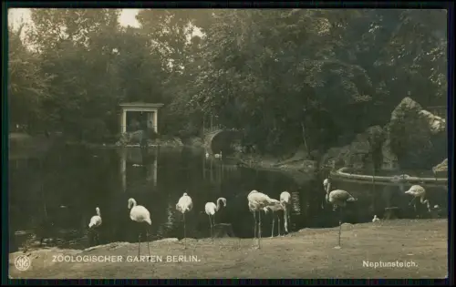 10x AK - alte Ansichtskarten Postkarten - Berlin 1900-1920 - diverse Ansichten