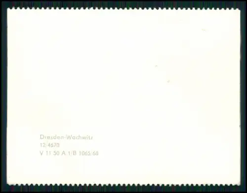 8x Foto - Elbdampfer Karl Marx Pillnitz Stadt Wehlen.. - u.a. Sächsische Schweiz