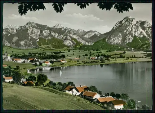 AK - Hopfen am See Füssen Ostallgäu - Panorama Berge Segelboote Seeufer