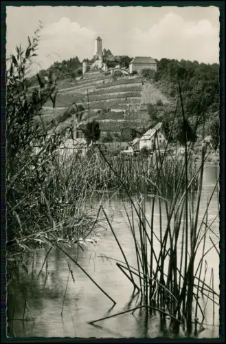 Foto AK  Burg Hornberg Neckarzimmern Blick vom Flussufer auf Terrassen-Weinberge