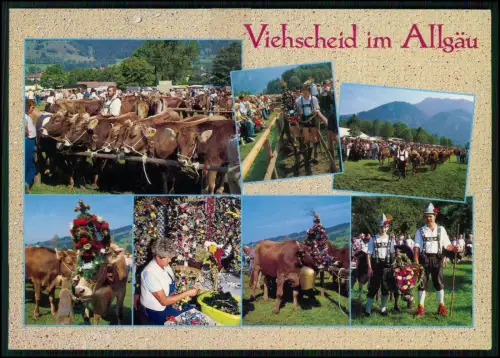 AK - Viehscheid in Oberstaufen Allgäu - Almabtrieb Tracht Kühe Brauchtum Bayern
