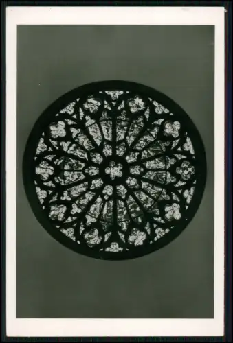 11x Foto AK - Speyer am Rhein - Gedächtniskirche Dom Innenansicht Außenansichten