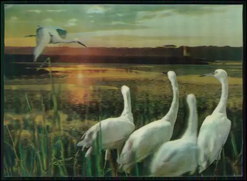 AK - Lentikularkarte Wackelkarte - Reiher See Vögel Sonnenuntergang - 3D Effekt
