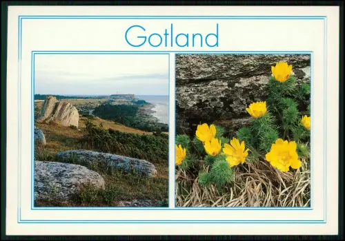 11x AK - Gotland Schweden Visby Ostsee Küste - Landschaft Skandinavien 1960-70er