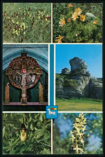 11x AK - Gotland Schweden Visby Ostsee Küste - Landschaft Skandinavien 1960-70er