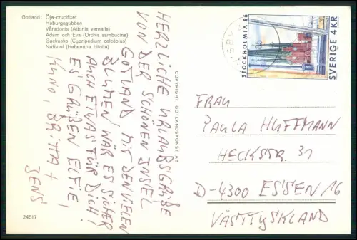 11x AK - Gotland Schweden Visby Ostsee Küste - Landschaft Skandinavien 1960-70er