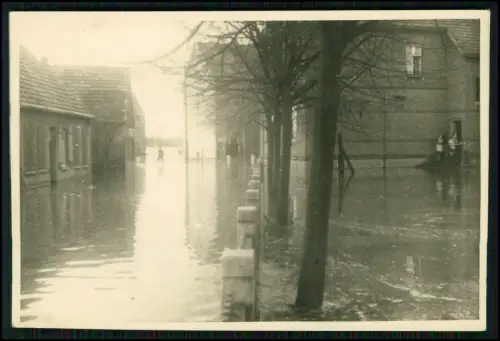 4x Foto - Hochwasser in einem Dorfgebiet, überflutete Häuser Bäume Menschen 1933