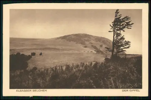 10x AK 1. WK - Feldpost Hartmannsweilerkopf Elsass Bollwerk Vogesen - und andere