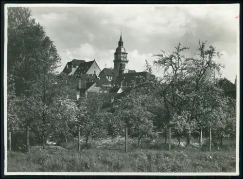Foto 17x13 - Backnang BW - Kirche Turm mit Altstadt - Blick über Obstwiese