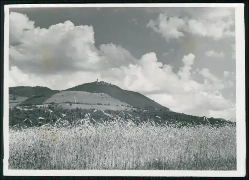Foto 18x13 - Owen Teck Burg Teck - Schwäbische Alb - Panorama mit Getreidefeld