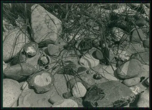 6x AK - Hiddensee Ostsee Insel - Kloster Vitte Neuendorf Leuchtturm Dornbusch...
