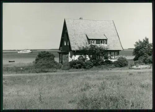 Hiddensee Haus am Meer - mit Schiff DDR Foto Ebel Löffler 1987 Original 15x10 cm