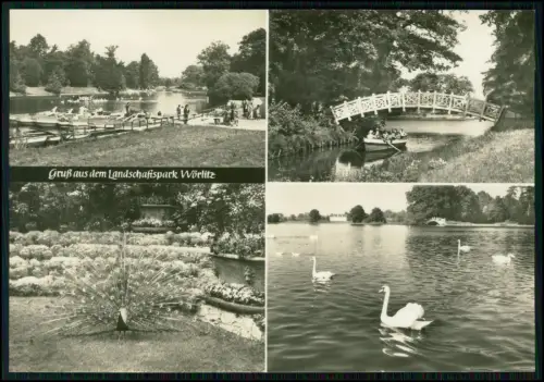 5x Foto AK - Wörlitz Oranienbaum im Lr. Wittenberg in Sachsen-Anhalt - Ansichten