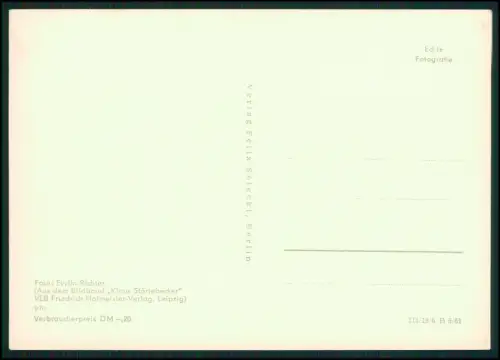 Foto AK - Ralswiek auf Rügen - Störtebeker Festspiele - nächtliche Schiffe Feuer