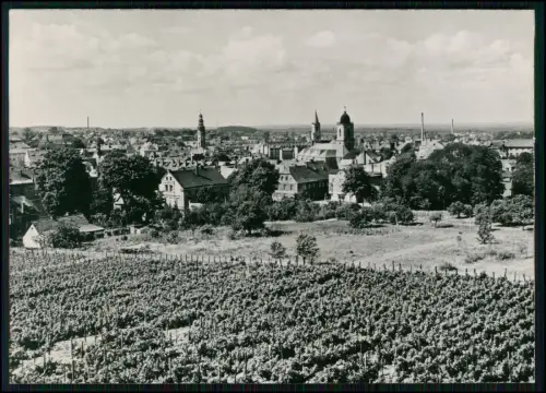 Foto AK - Zielona Góra Grünberg - Lubuskie Polen - Ort Weinberge Weinbaugebiet