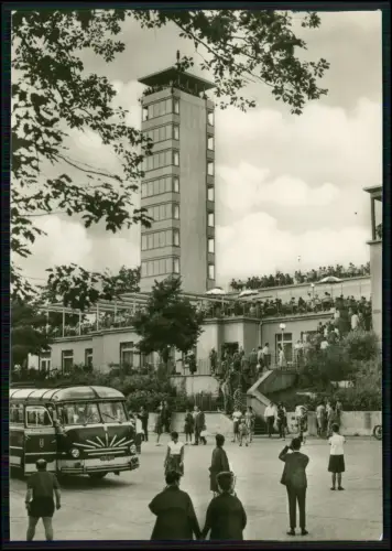 2x Echt Foto AK Berlin Müggelturm Köpenick Reisebus Terrasse Gäste Aussichtsturm