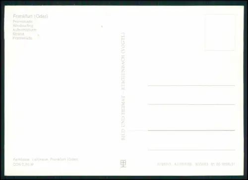 AK - Frankfurt Oder Helene-See DDR - Strand Promenade Aussichtsturm Windsurfer