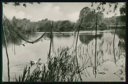 3x Foto AK - Beeskow Oder-Spree - Kleine Spree Boote und andere Szenen aus DDR