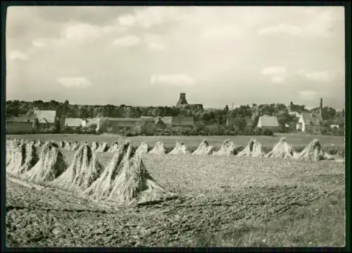 3x Foto AK - Beeskow Oder-Spree - Blick Stadt Feldlandschaft und andere Szenen