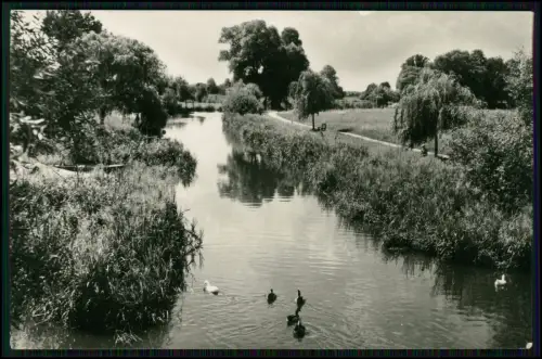 3x Foto AK - Beeskow Oder-Spree - Fischerboote am Ufer, Netze - und andere