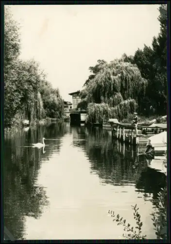 3x Foto AK - Beeskow Oder-Spree - Fischerboote am Ufer, Netze - und andere